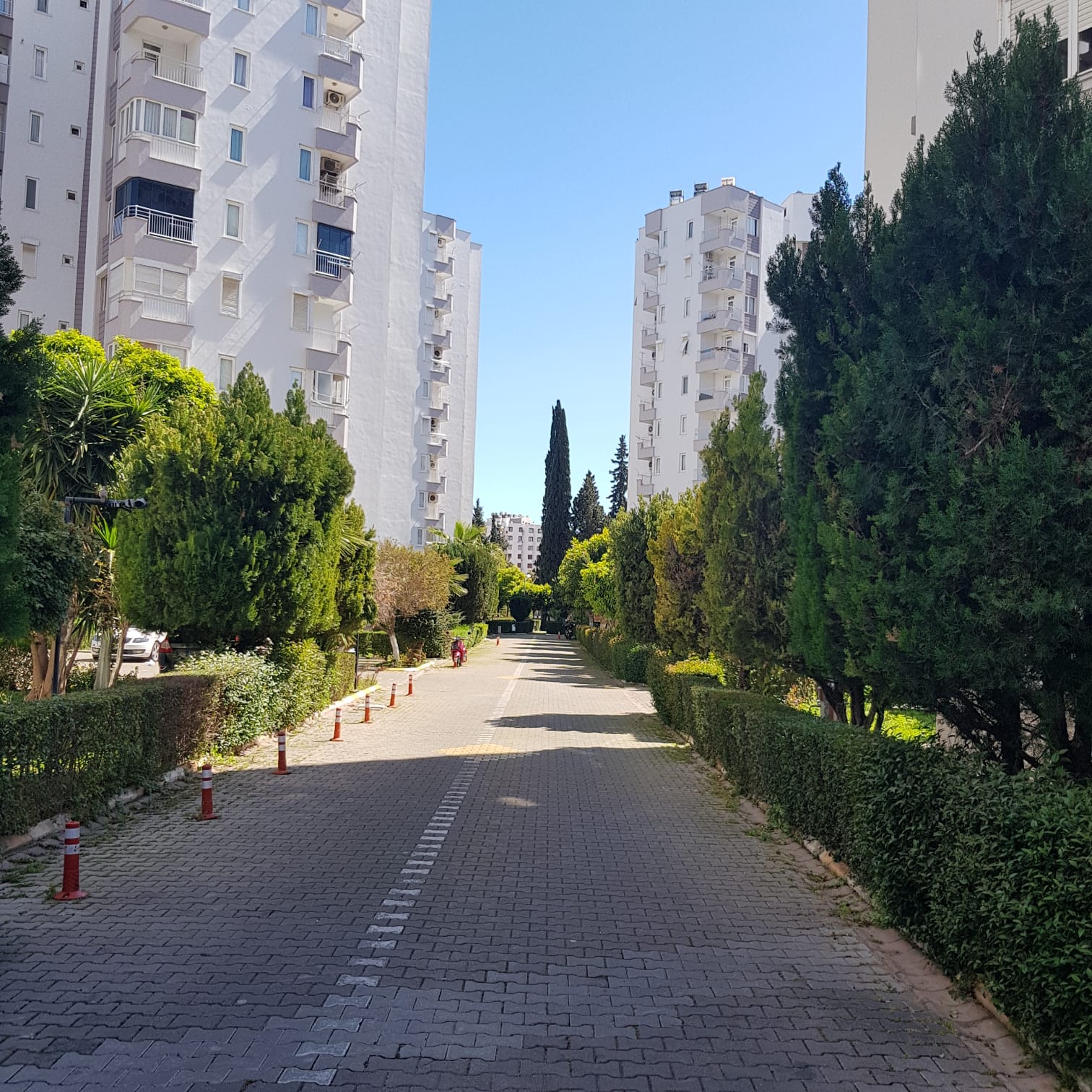 Oğul Sitesi